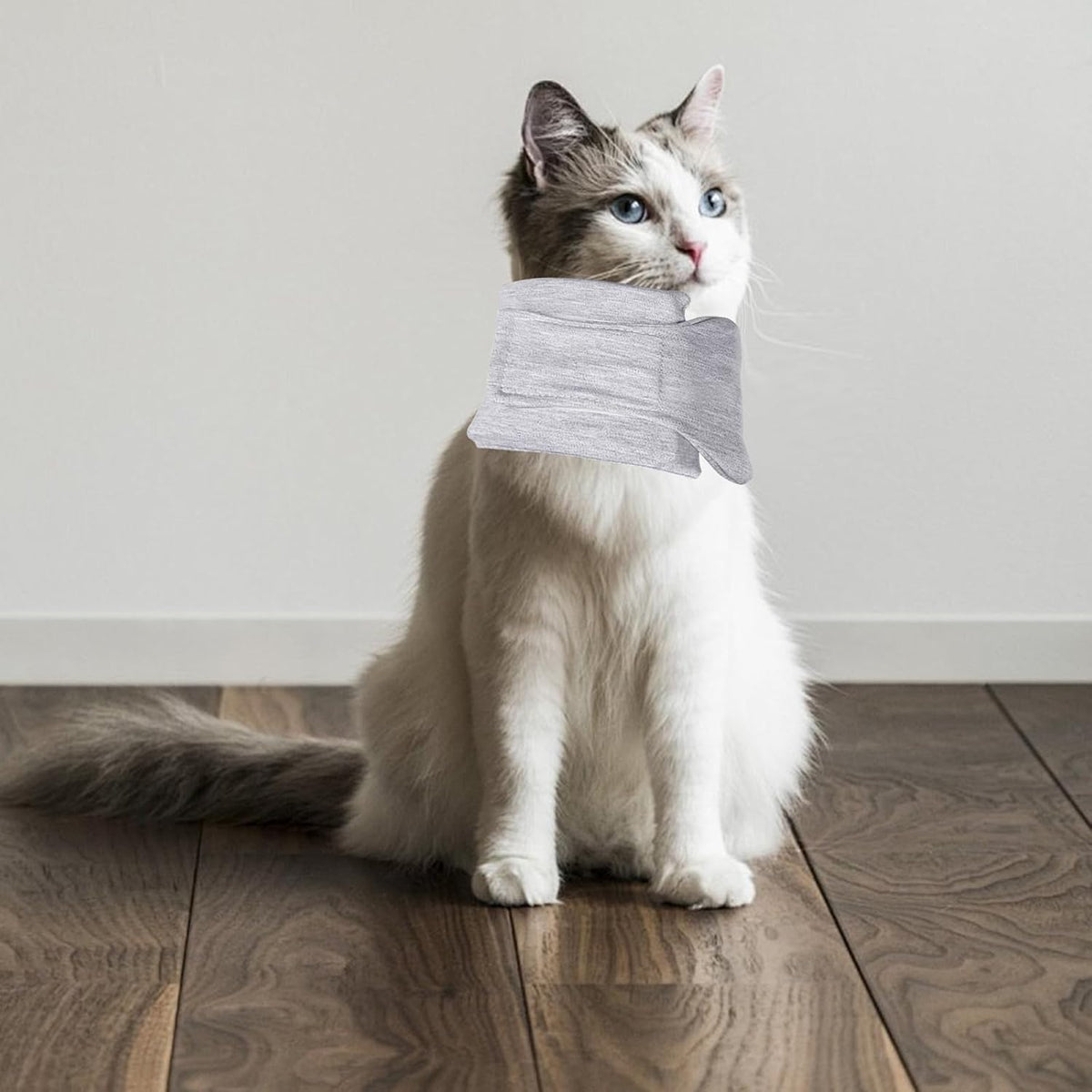 JoyHuaTrade grey color small size cat neck support collar