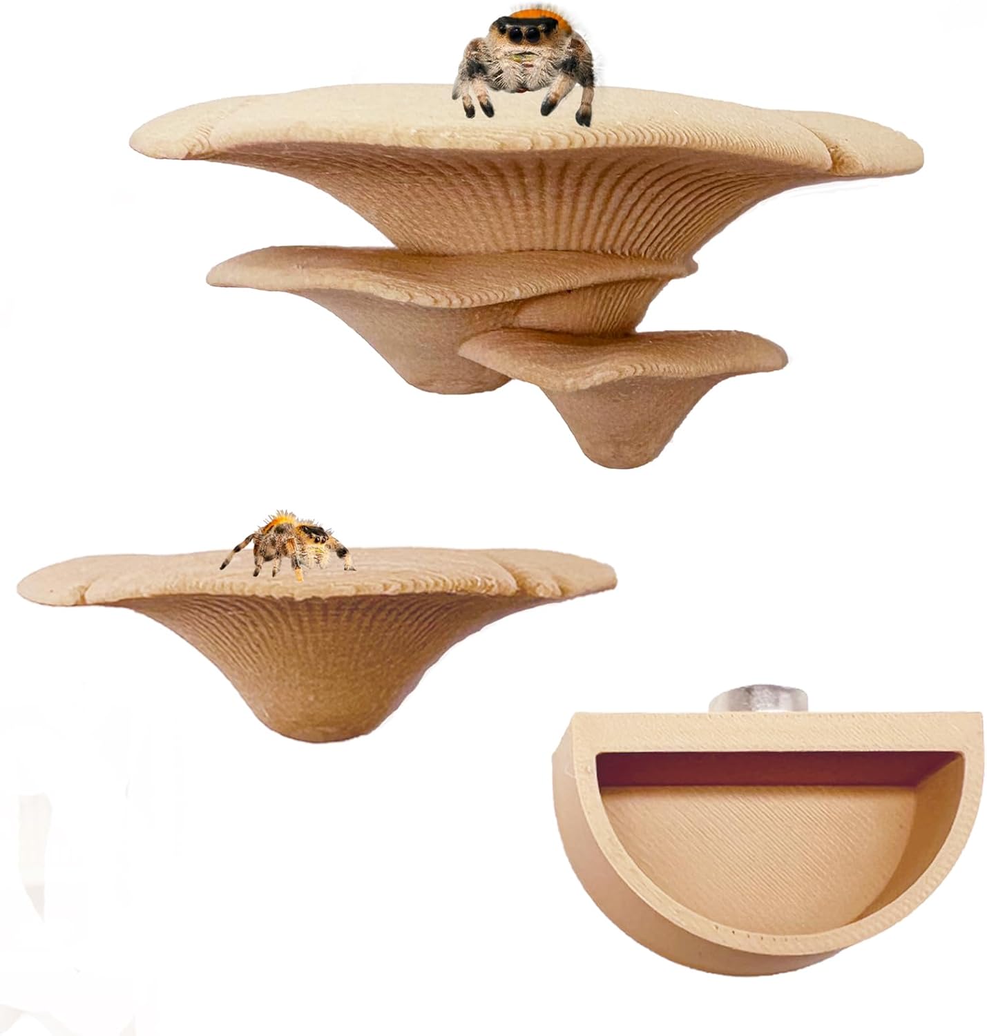 2 Pack Jumping Spider Accessories Mushroom Ledges & 1 Pack Water Bowl with Magnets for Spoods Jumping Spiders Magnetic Ledge Ladder Pet Spider Accessories (Not Included The Terrarium) (beige) - Image 1