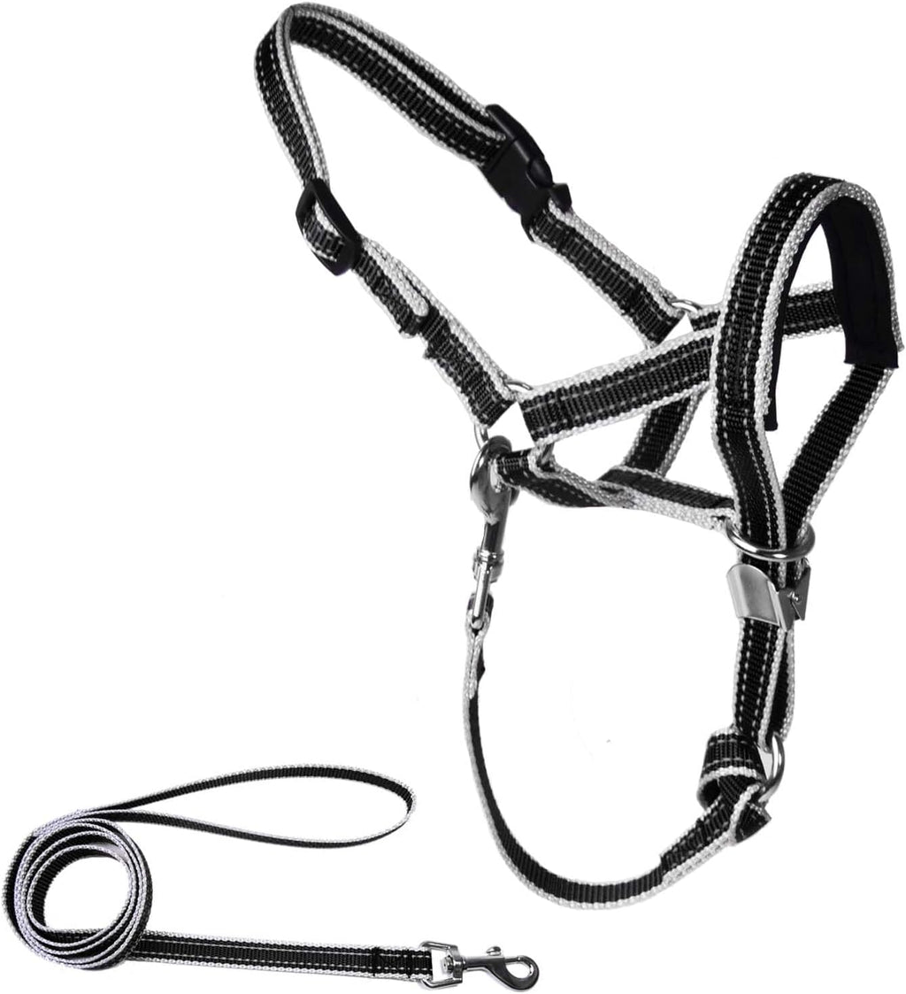 Ohveeca black dog head collar and leash set front view