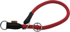 Light blue escape proof dog collar with heavy duty hardware.