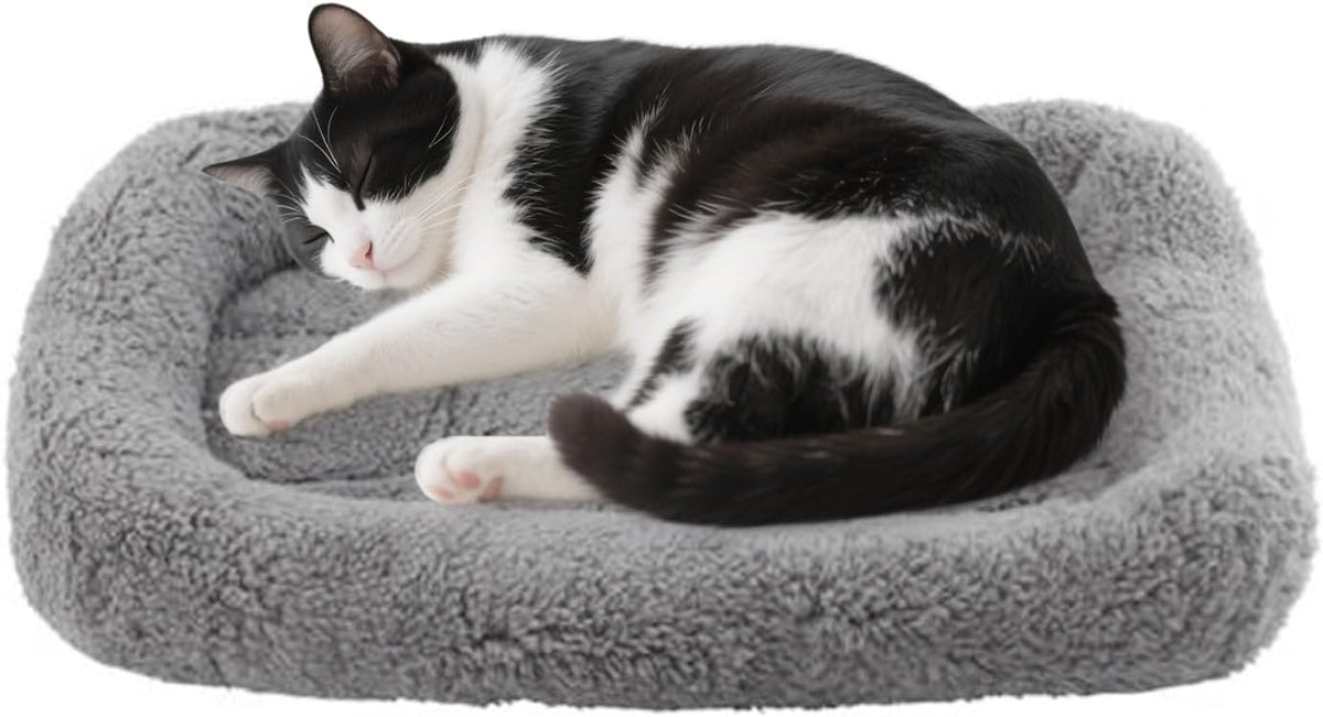 PETLESO rectangular pet bed dimensions and polyester padding visual
