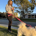 Shed Defender hands free waist leash belt product packaging