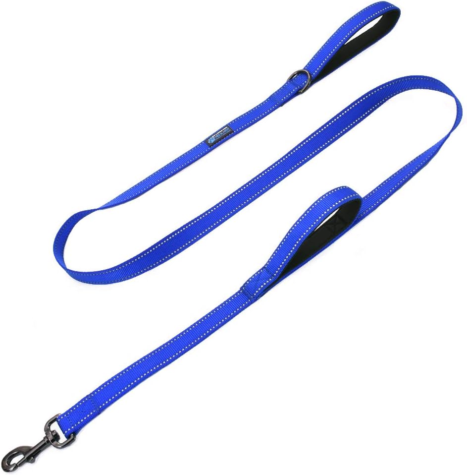 Max and Neo 6 foot dog leash showing built in accessory D-ring