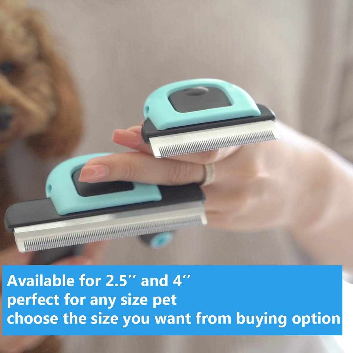 Top view of 2.5 inch Petgle pet shedding tool showing blade design