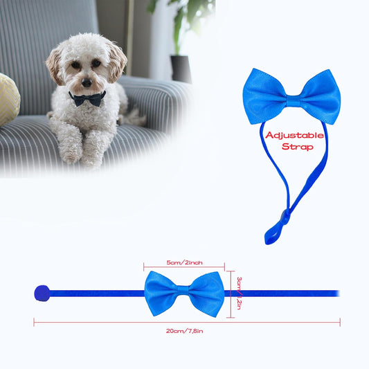 Adjustable mini blue bow tie on a rooster profile view.