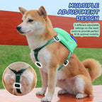DoggieKit puppy saddle bag harness with walking leash attachment