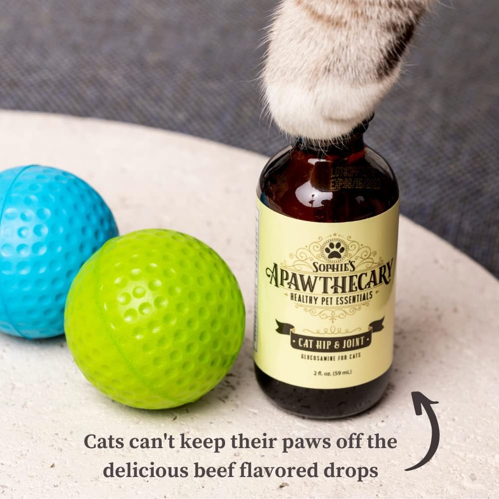 Authentic USA imported cat joint supplement bottle