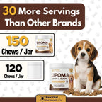 L-Carnitine and Curcumin dog chews for fatty tumor tissue management.