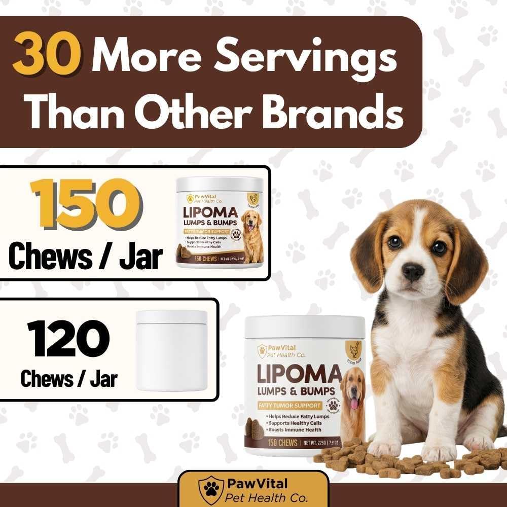 L-Carnitine and Curcumin dog chews for fatty tumor tissue management.