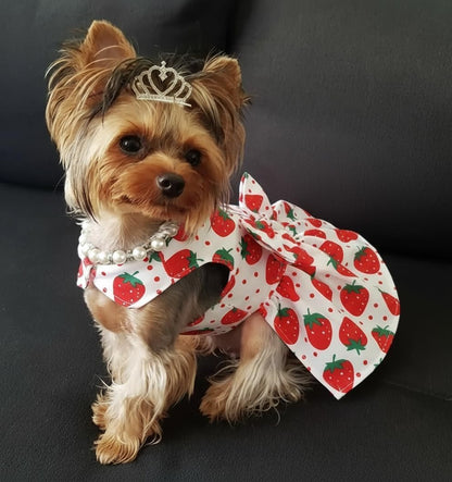 D-ring attachment on floral dog dress harness apparel