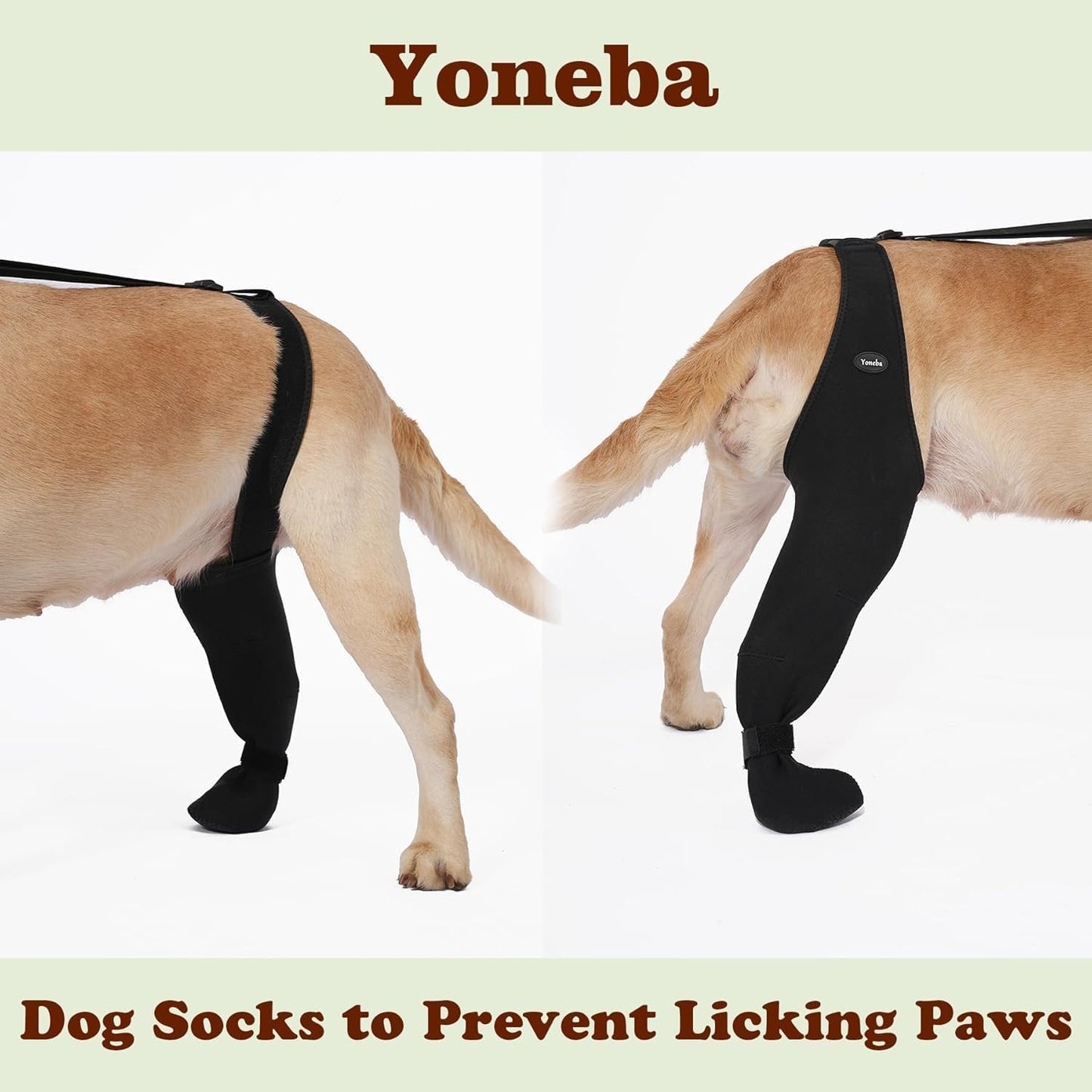 Adjustable straps on Yoneba dog recovery sock