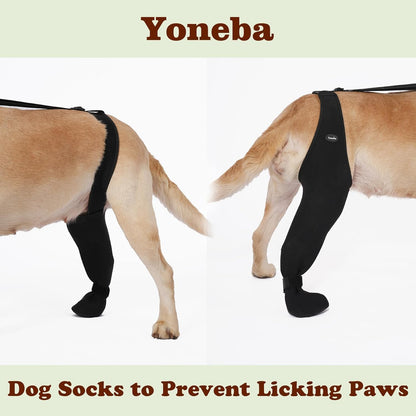 Adjustable straps on Yoneba dog recovery sock