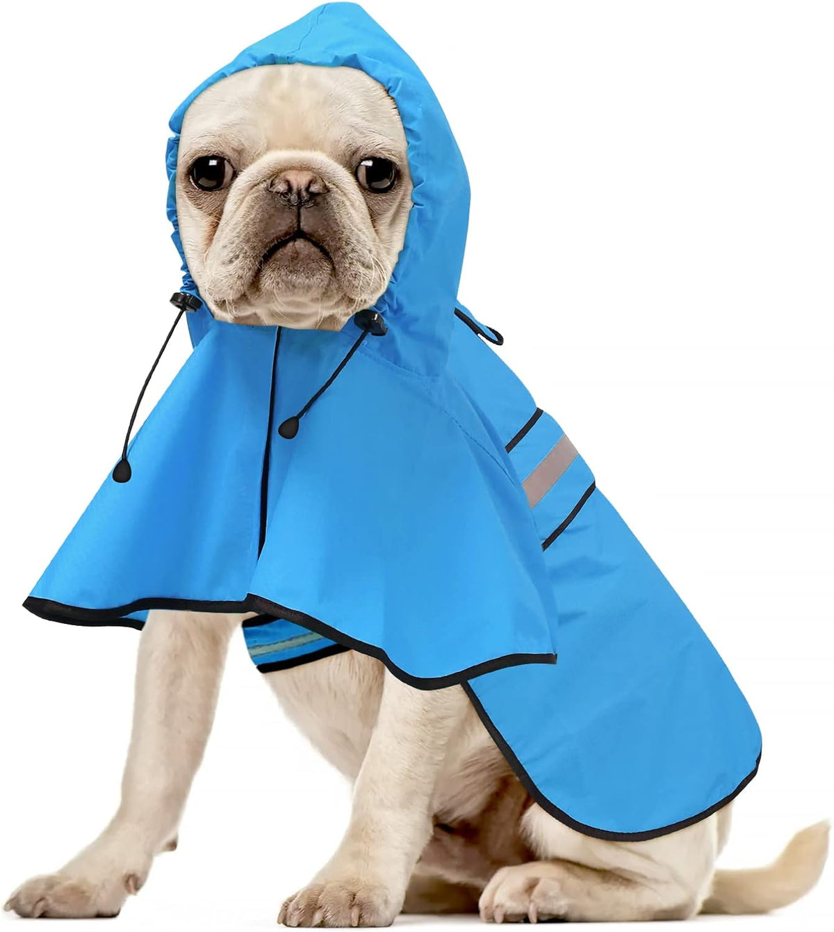 Ezierfy premium imported pet rain gear flat lay view detailing the quality polyester material and stitching.