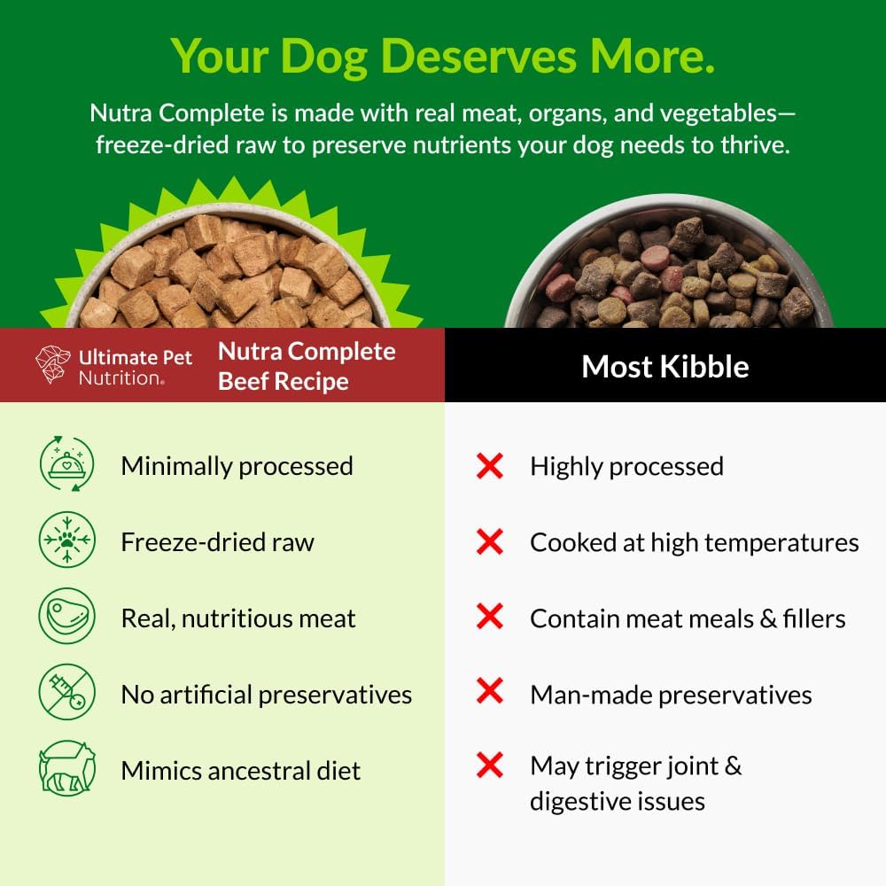 Nutra Complete beef formula veterinarian developed raw dog food close up