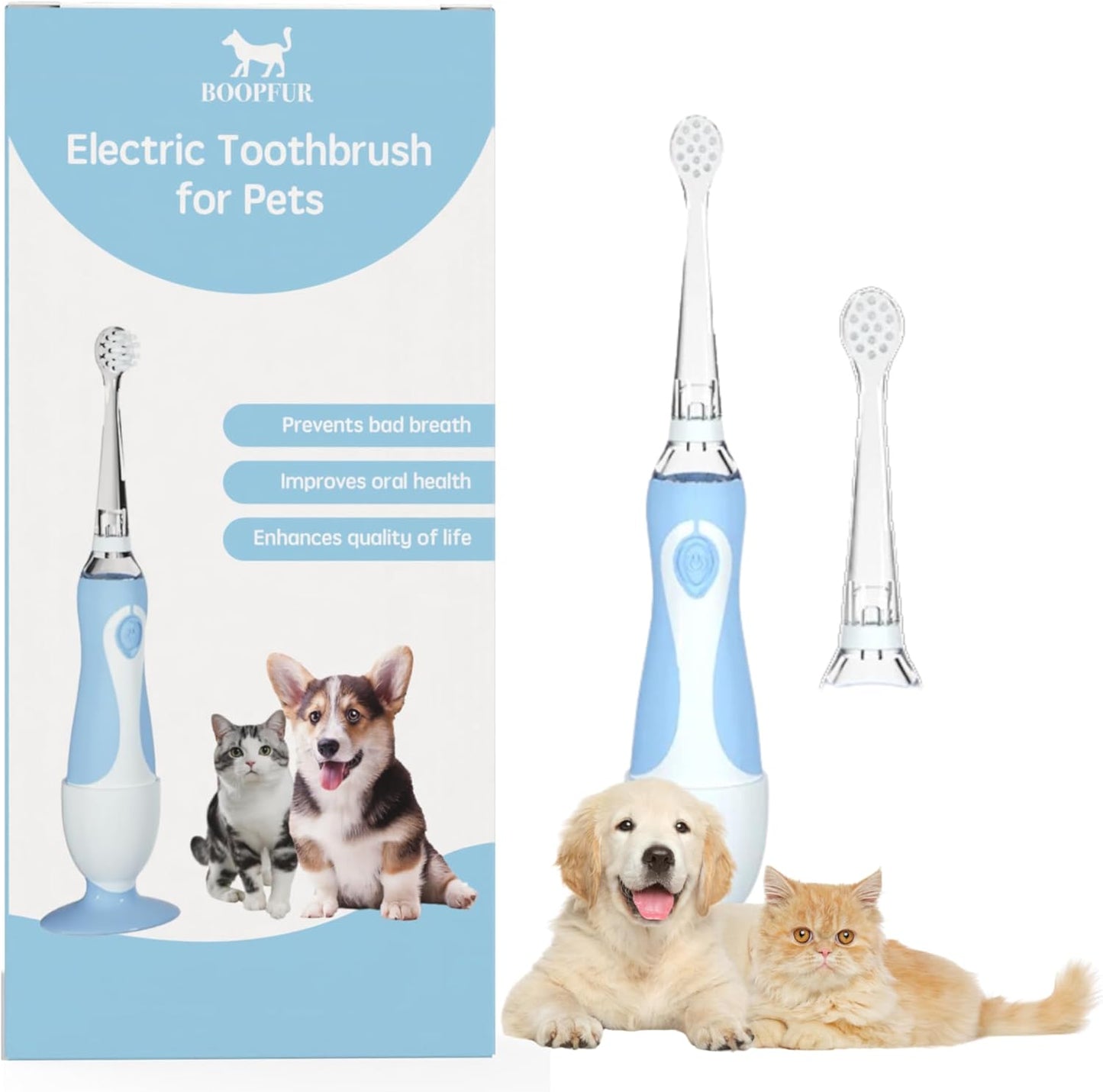 Generic Pet Electric Toothbrush front view blue and white