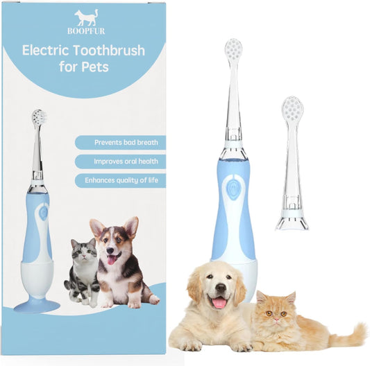 Generic Pet Electric Toothbrush front view blue and white