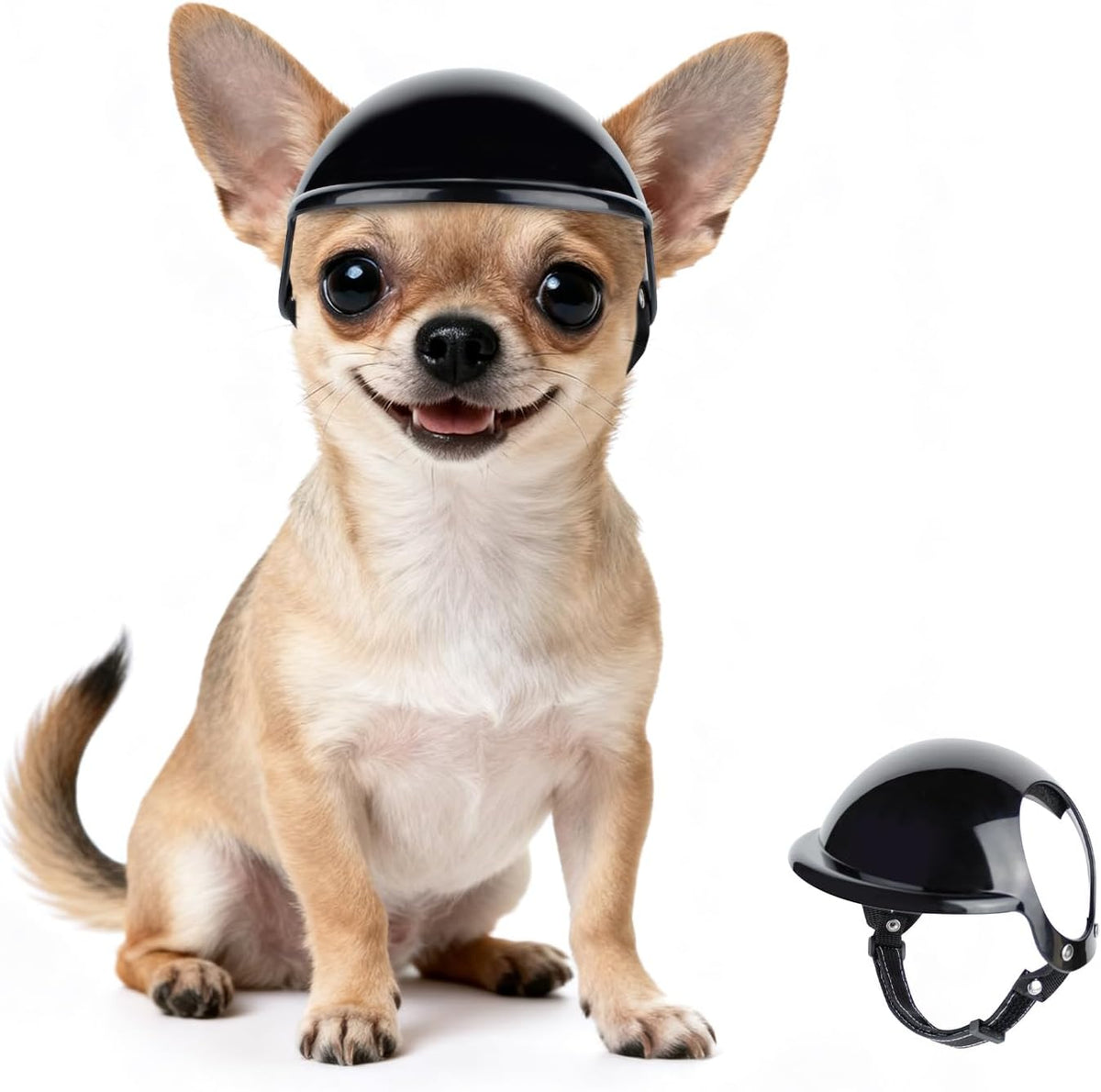 Petleso black dog helmet for small dogs front view