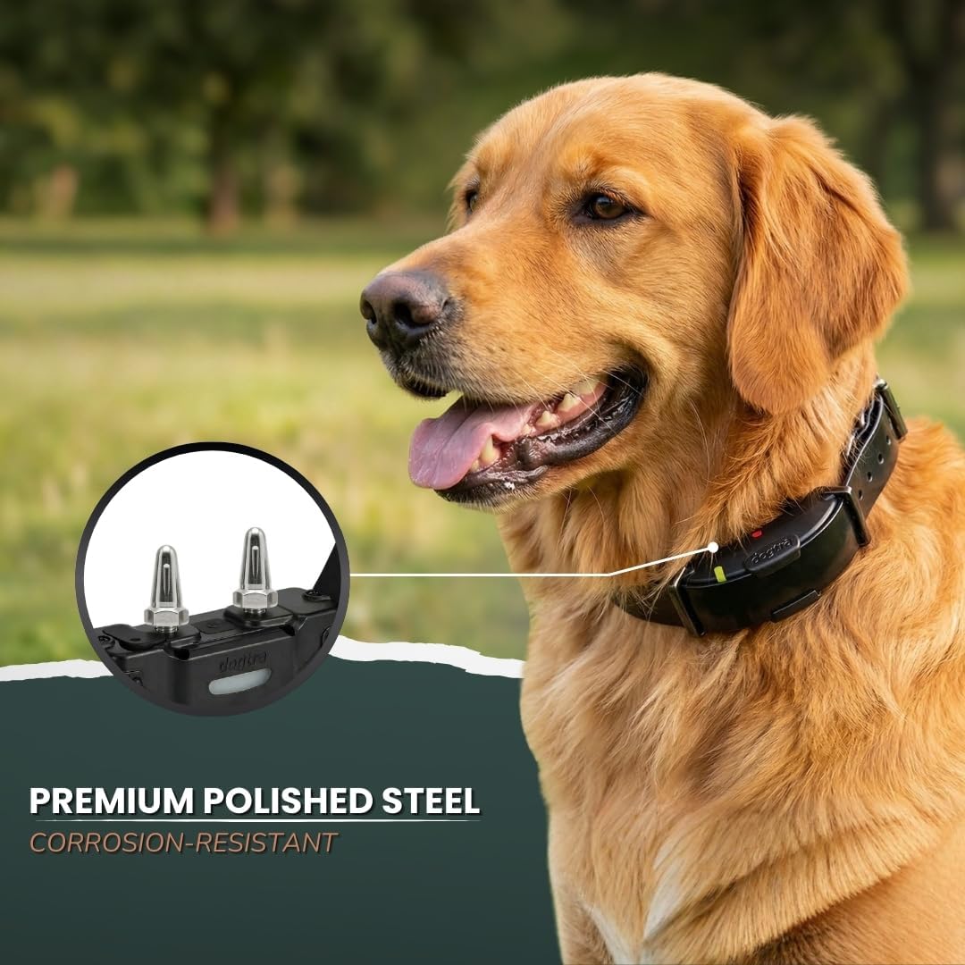 PetsTEK surgical grade stainless steel e collar prongs