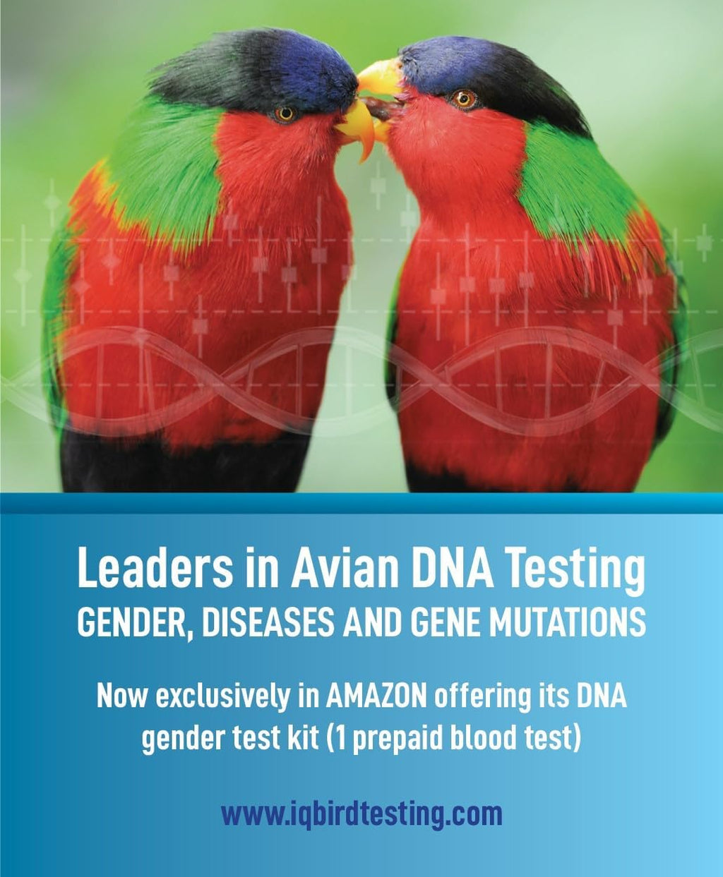 IQ Bird Testing Avian DNA Gender Test Kit instruction manual and sample collection cards.