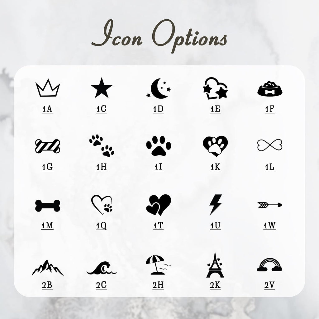Anavia durable metallic pet id accessory displaying reflective silver finish on white background