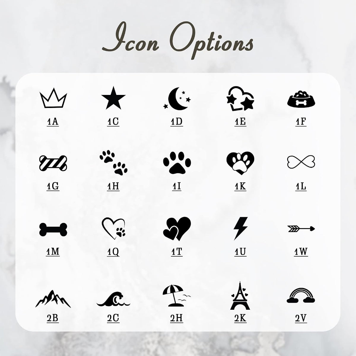 Anavia durable metallic pet id accessory displaying reflective silver finish on white background