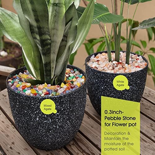 RIFNY polished rocks used as succulent top dressing