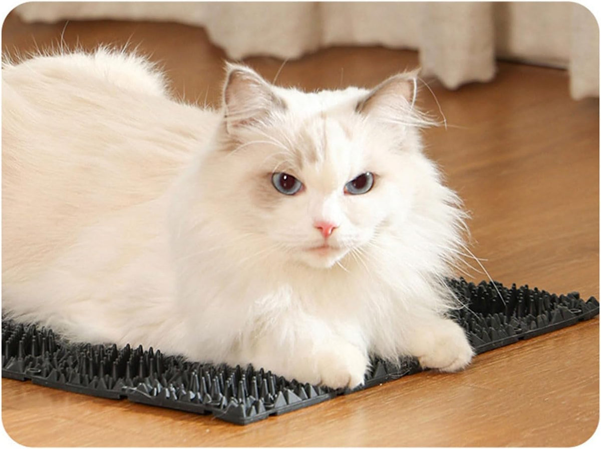 Cat enjoying a massage on the ground grooming station
