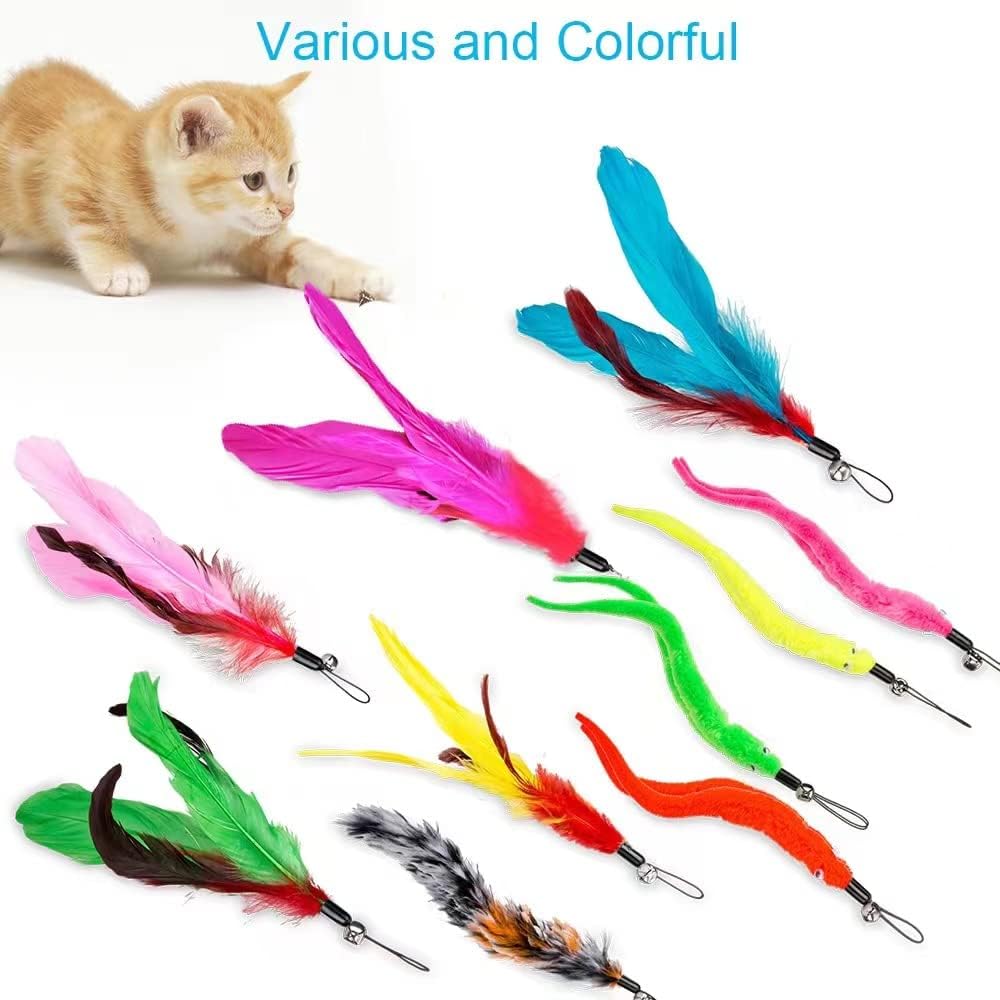 Compact retracted cat wand stored neatly