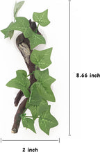 Aqua KT artificial resin ivy leaves close up shot