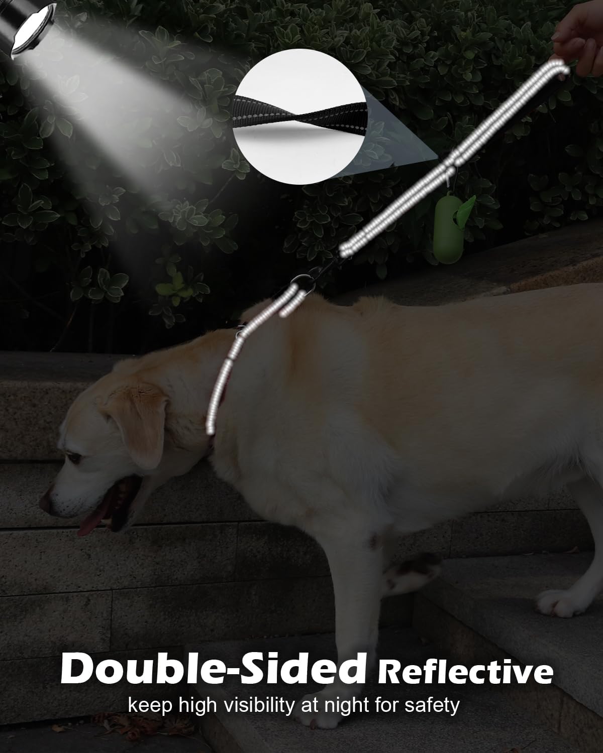 Joytale heavy duty dog leash showing the integrated D ring holding accessories
