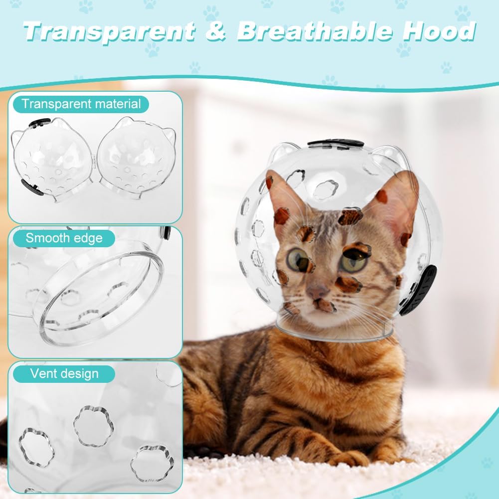 Set of four turquoise silicone anti-scratch cat boots