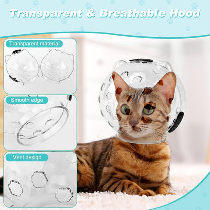 Set of four turquoise silicone anti-scratch cat boots