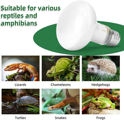 DaToo one hundred watt uva heat lamp bulbs packaging for exotic pets