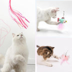 SONGWAY fairy feather cat teaser refill pack displayed against a clean background.