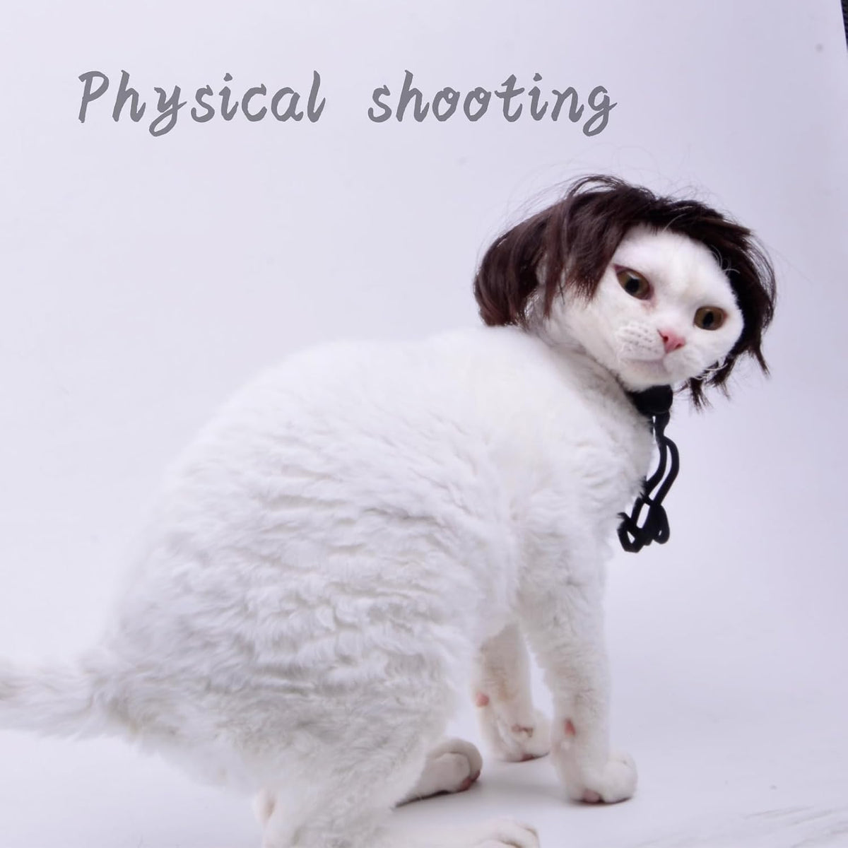 Lamiaraga pet wig adjustable strap detail