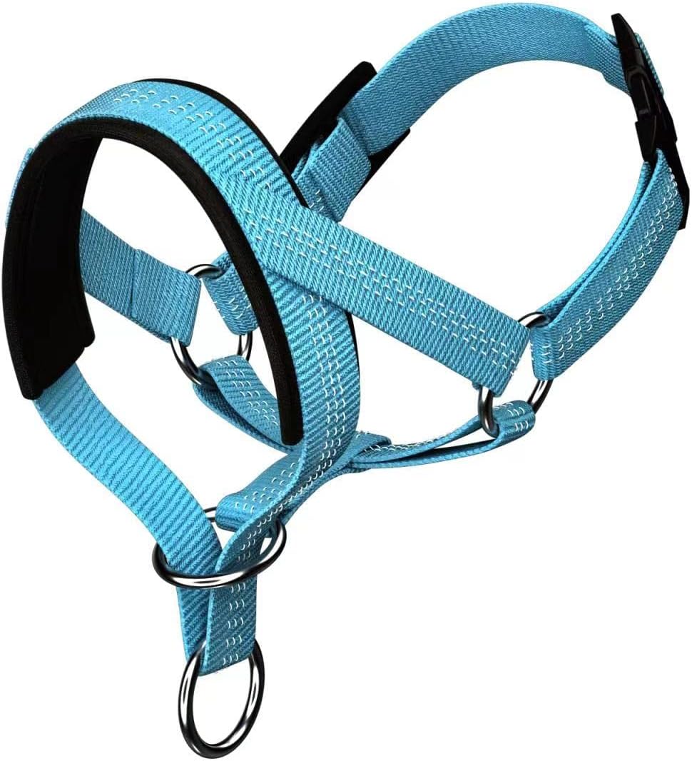 Wintchuk dog head collar blue small front view for training