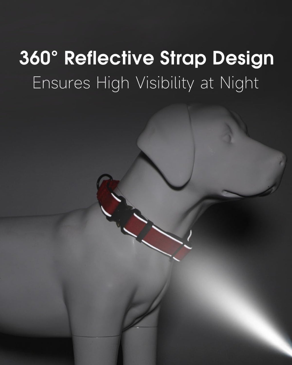 Indink custom dog collar showing neoprene padding detail
