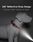 Indink custom dog collar showing neoprene padding detail
