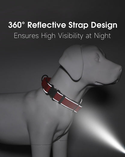 Indink custom dog collar showing neoprene padding detail