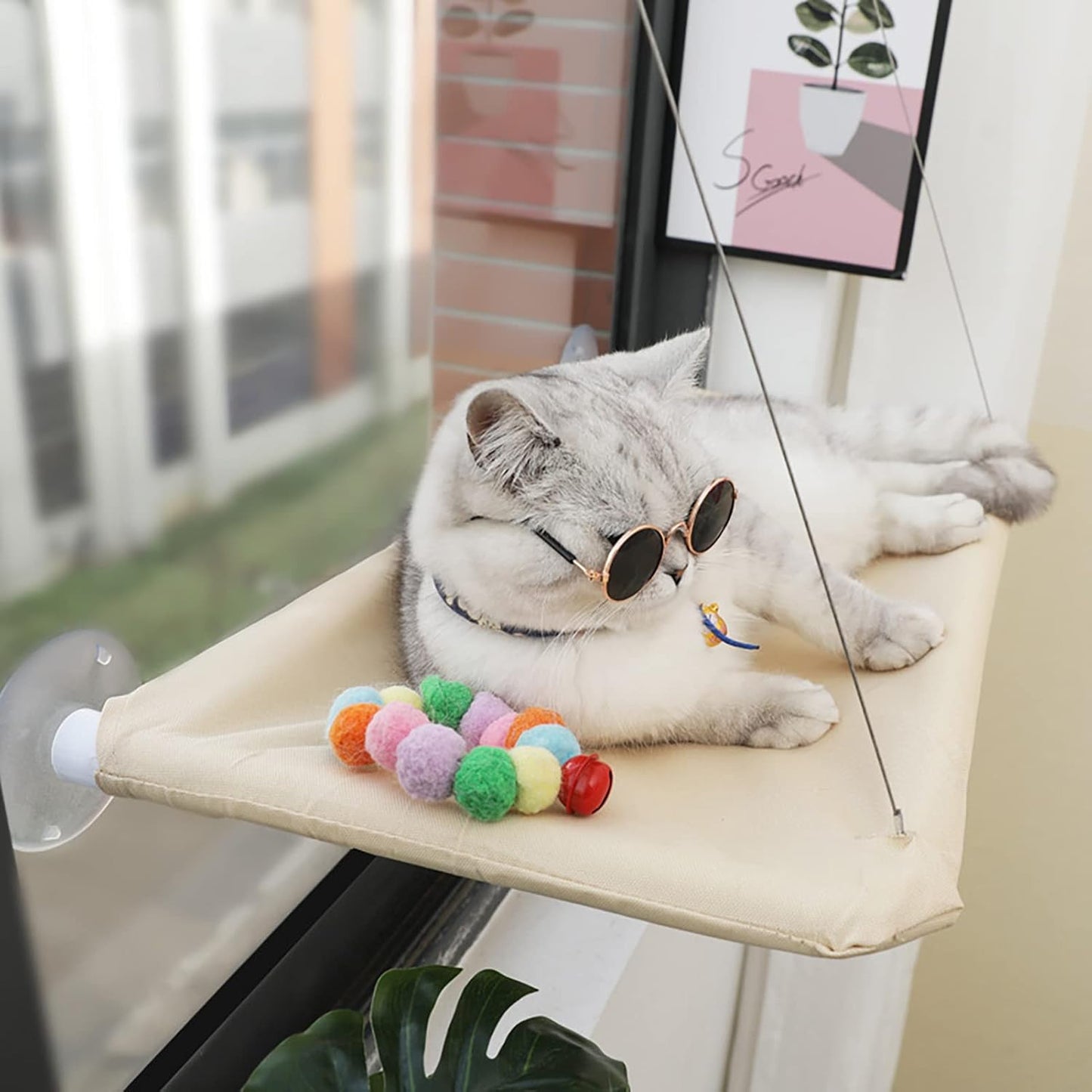 JinRui-T Cat Window Hammock Perch front view installed on a sunny glass window with a cat resting.