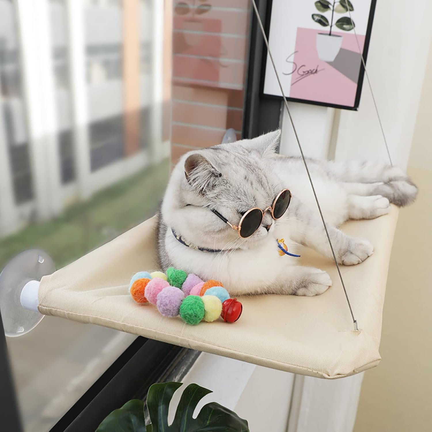 JinRui-T Cat Window Hammock Perch front view installed on a sunny glass window with a cat resting.