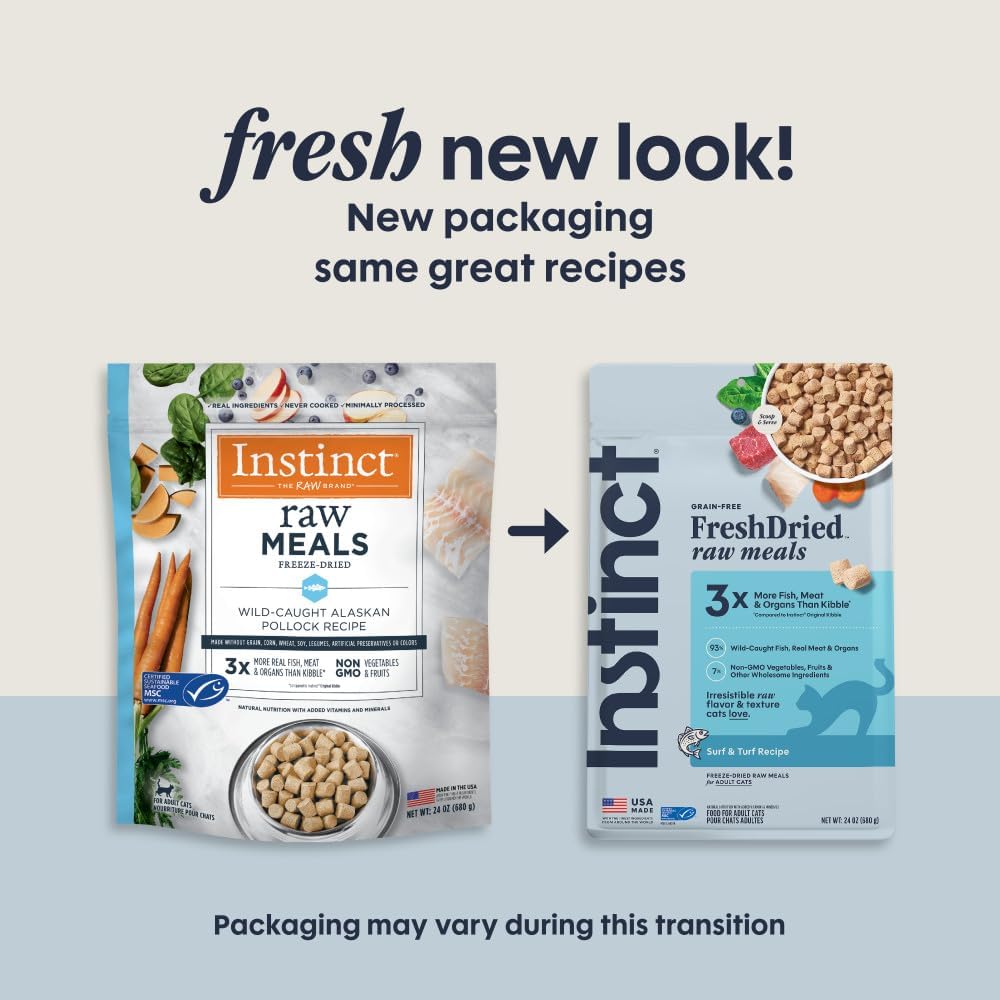 Grain free raw cat food high protein pollock recipe close up of freeze dried pieces