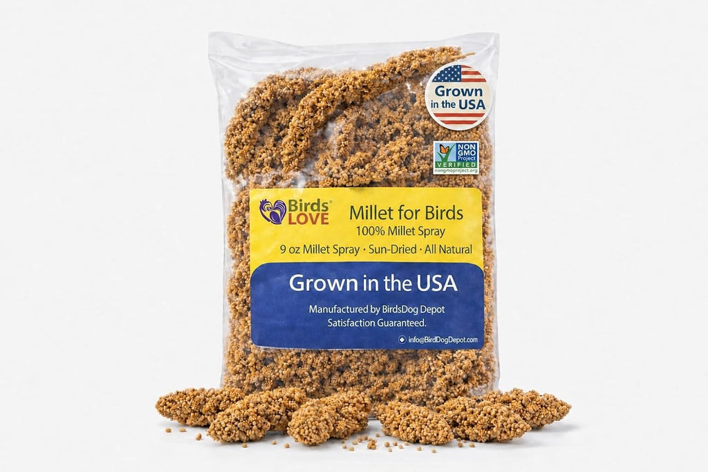 1lb Economy & Special Spray Millet for Birds - GMO-Free, No Stems (Only Edible Tops) - 100% Natural Sun-Dried Foraging Treat for Cockatiels, Lovebirds, Parakeets, Finches & Canaries - Image 12
