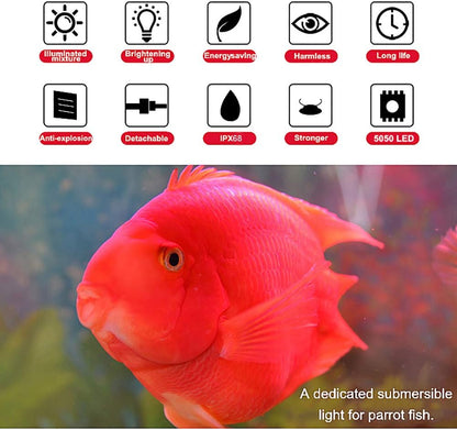 Crystal glass LED light bar for fish tanks