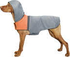 Premium imported Havenfly dog rain protection wear displayed fully flat to show overall design.