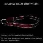 Heavy duty nylon material and metal D rings of the PLUTUS PET martingale collar