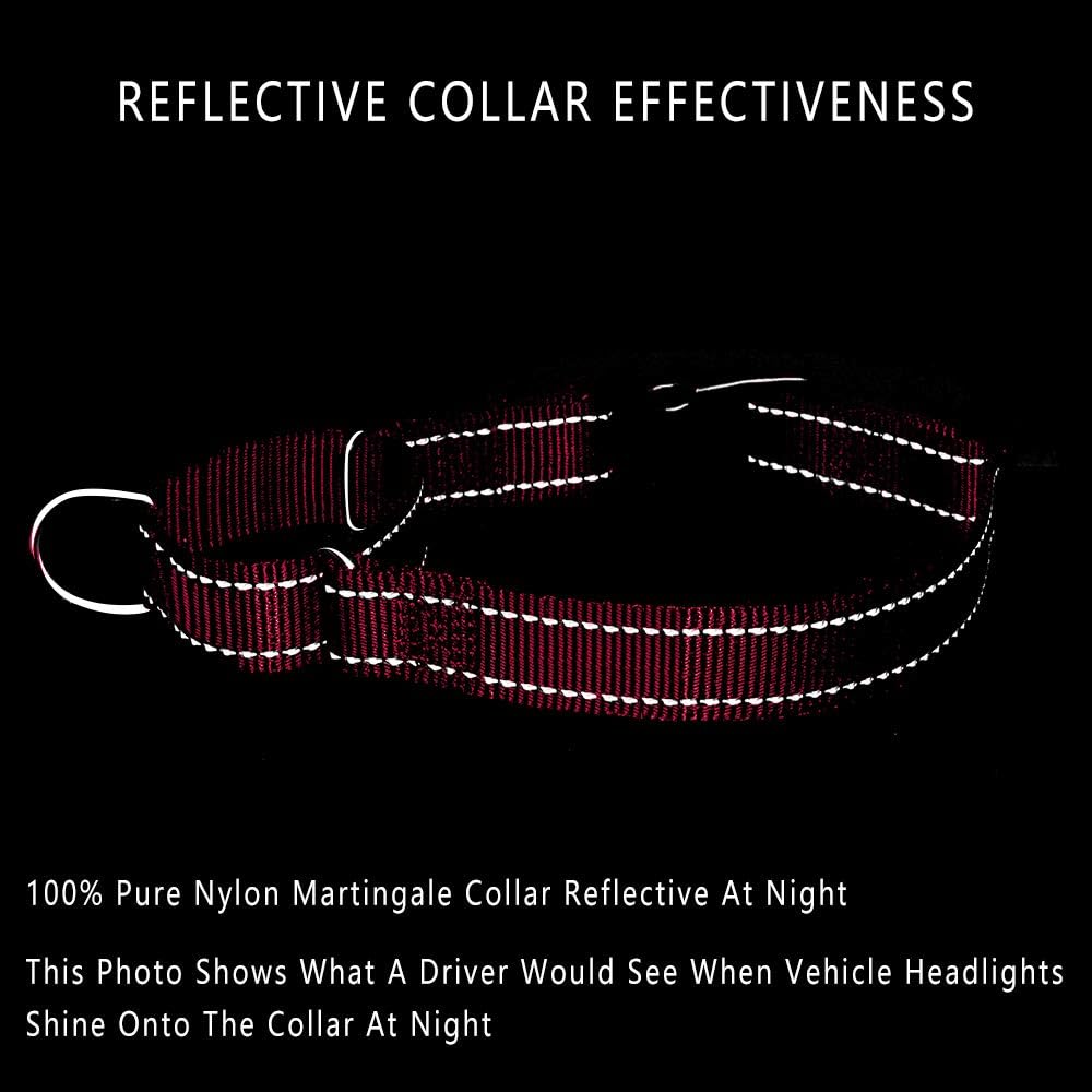 Heavy duty nylon material and metal D rings of the PLUTUS PET martingale collar