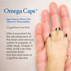 Omega-Caps HP 250 capsules container angle view