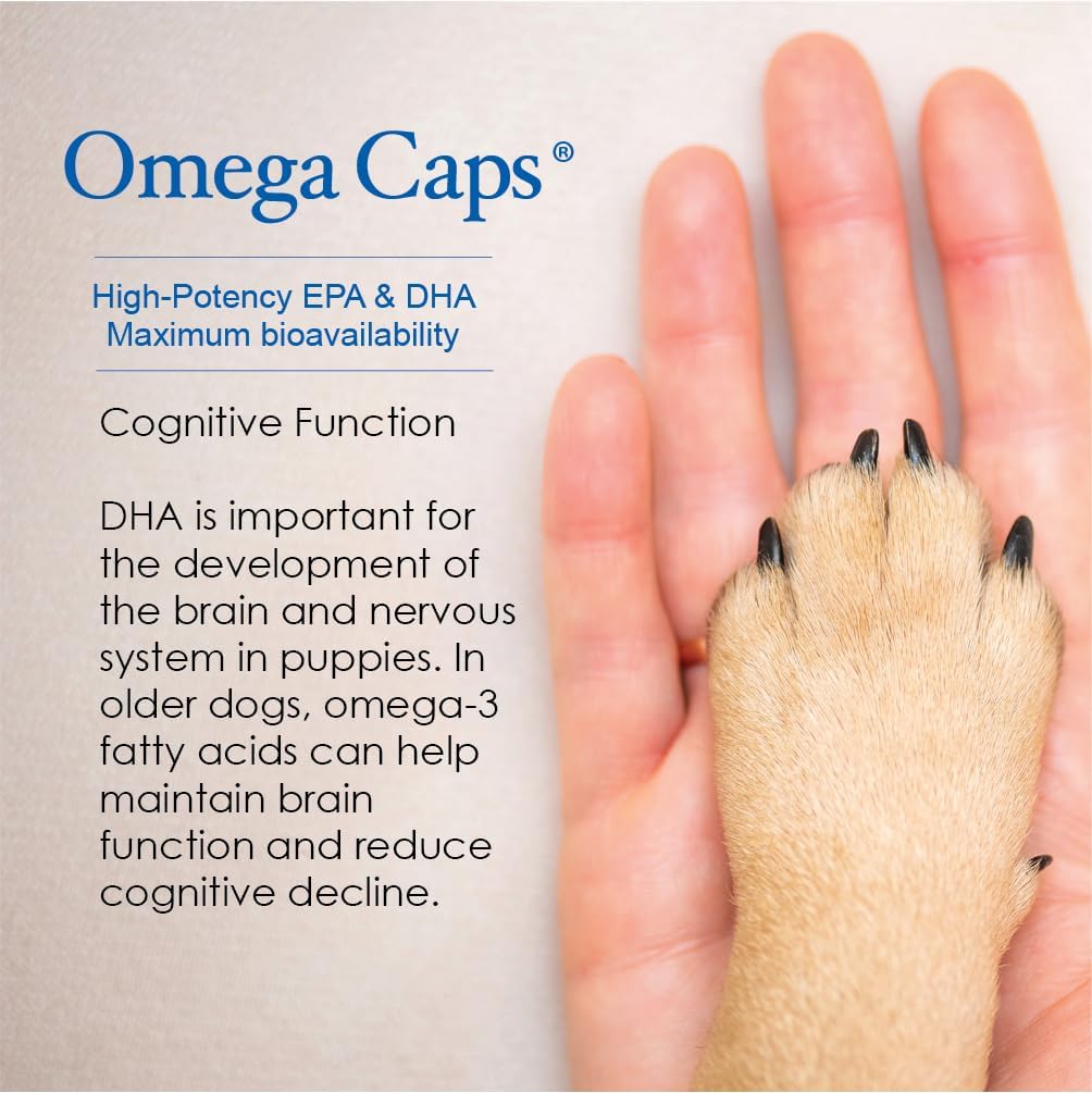 Omega-Caps HP 250 capsules container angle view
