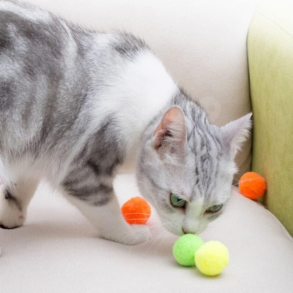 Interactive pet play scene with Shizhoo squeaky pom pom balls scattered indoors.
